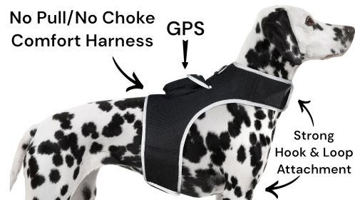 Realtime Fast Tracking Dog Collar GPS Pet Location Finder + Rechargeable Battery Size:M