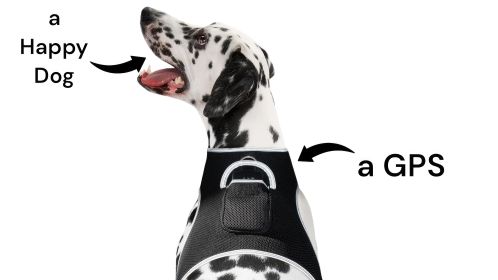 Portable GPRS Dog GPS App Waterproof Pet Tracking Device Collar Mount Size:M