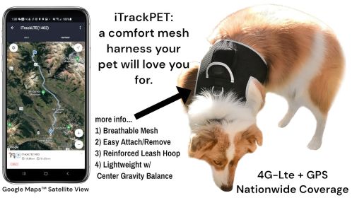 Protect Pet Remotely w/ Pet Tracker Mini Realtime GPS Dog Tracking Systems Size:M