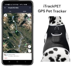 Pet Tracker - Best Dog GPS Tracker Buckle Clipped Rechargeable GSM Locator Size:M