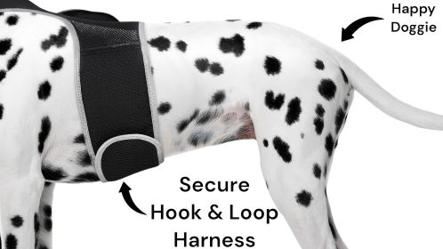 Pet Tracker Waterproof Tracking Device + High Accuracy Dog GPS App Tracker Size:M