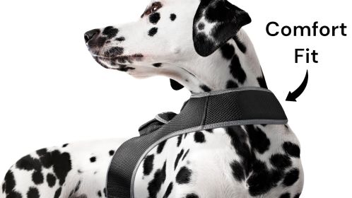 Cost-Saving GPS Dog Collar Tracker w/ Realtime Phone Pet Tracking App Size:M